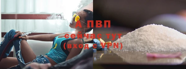 соль ск Белокуриха
