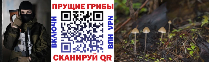 Псилоцибиновые грибы ЛСД  ссылка на мегу   Макаров 
